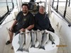 (02/23/2017) - Nice Striped Bass